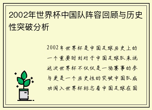 2002年世界杯中国队阵容回顾与历史性突破分析