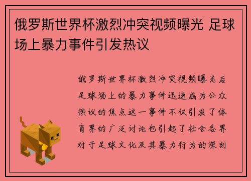 俄罗斯世界杯激烈冲突视频曝光 足球场上暴力事件引发热议