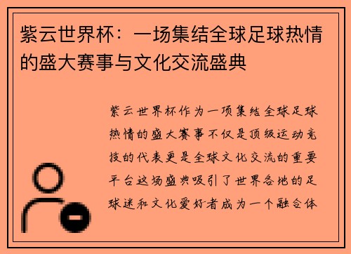 紫云世界杯：一场集结全球足球热情的盛大赛事与文化交流盛典